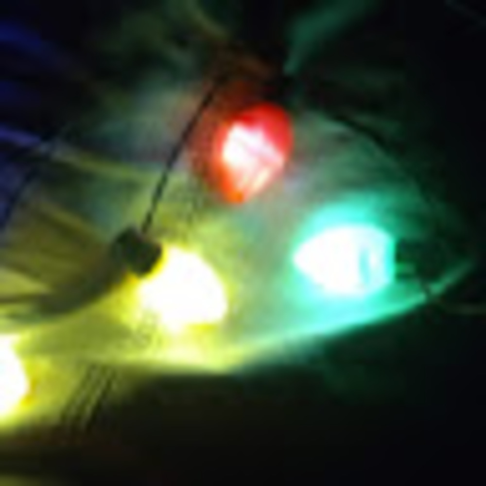 Meet your Posher, Autumn